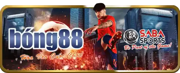 Bước 4: Đặt cược và theo dõi trận đấu